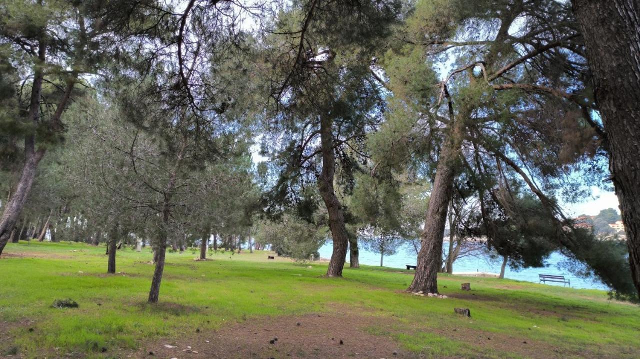 Papalina Apartmán